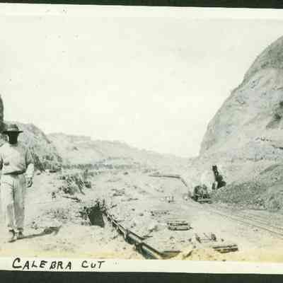 Calebra Cut