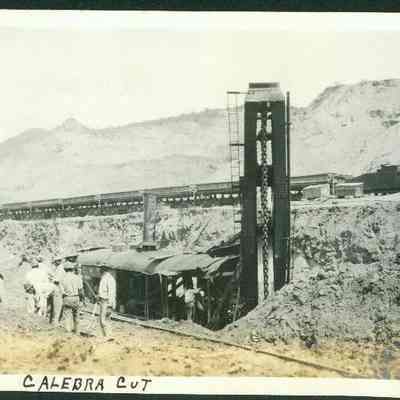 Calebra Cut