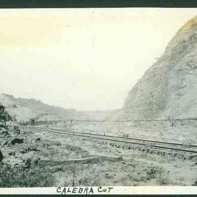 Calebra Cut