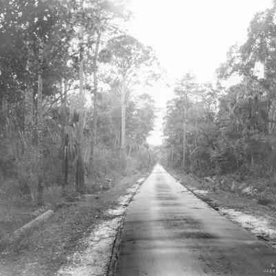 Beach Road