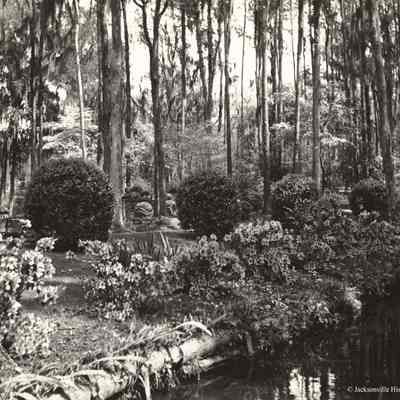 Oriental Gardens