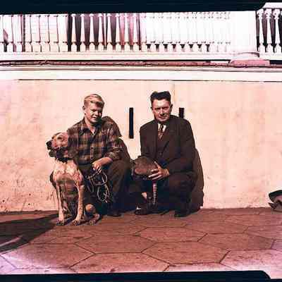 Armadillo with 2 men and a dog