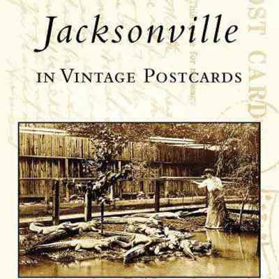 Jacksonville in vintage postcards : between the great fire and the great war.