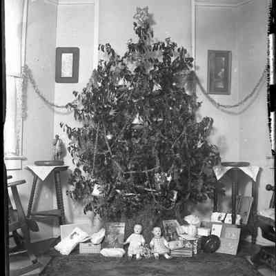 Leah Mary Cox Glass Plate Negatives
