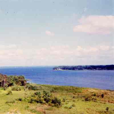 Fishweir Creek, 1966.