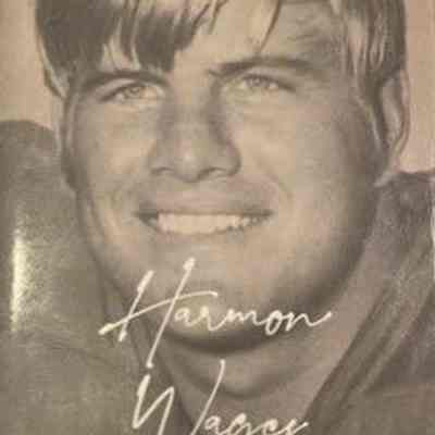 Harmon Wages : The Butcher's boy