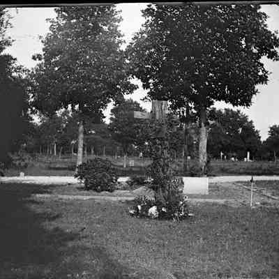 Leah Mary Cox Glass Plate Negatives