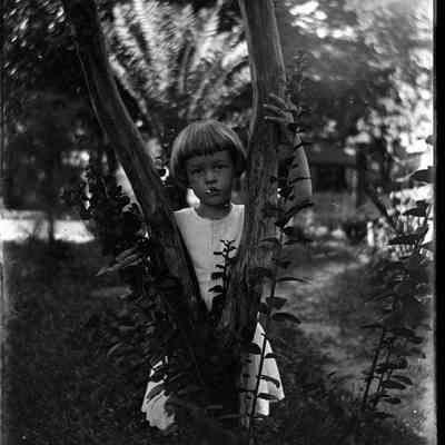 Leah Mary Cox Glass Plate Negatives