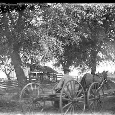 Horse and wagon/GP1.1480