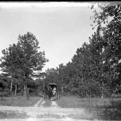 Horse and buggy/GP1.1489