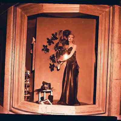 Purcells Window Displays
