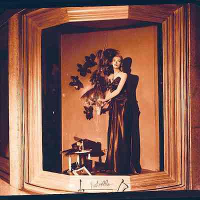 Purcells Window Displays