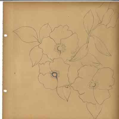 Garden Club of Jacksonville Scrapbooks 1950-1961