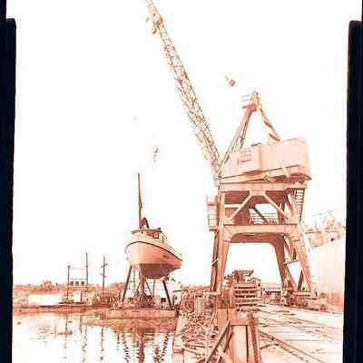 Shrimp Boat