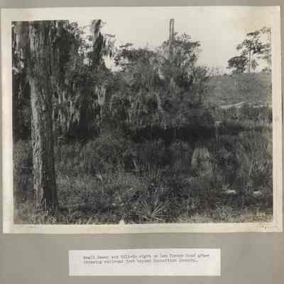 Small Swamp and Hill to right on Lem Turner Road after crossing railroad js