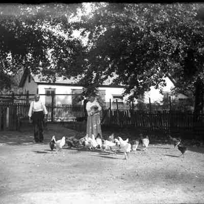 Couple feeding chickens/GP1.1829