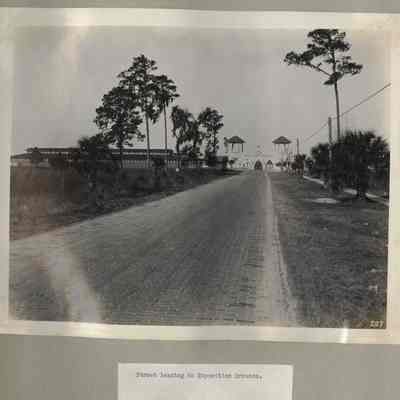 Street leading to Exposition Grounds