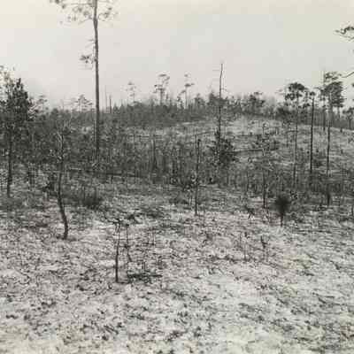 Hills near Bostwick Estates beyond City Prison farm