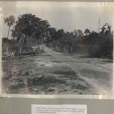 Road Scene just beyond City Prison farm beyond Panama Park on Fernandina Ro