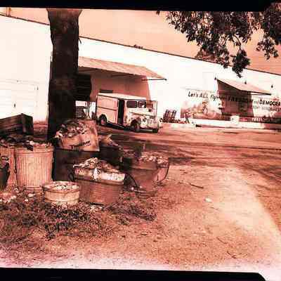 Pensacola Dairy Co.