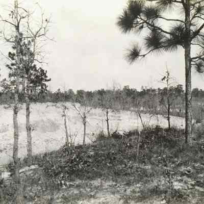 Scene of Hills at Simmons Place to left of Lem Turner Road about five miles