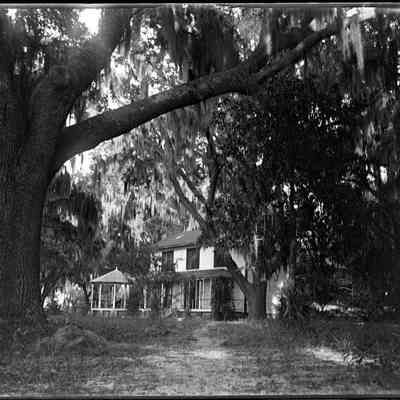 Leah Mary Cox Glass Plate Negatives