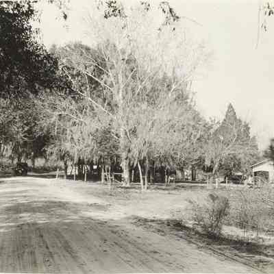 Road Scene Lem Turner Road beyond Riverview