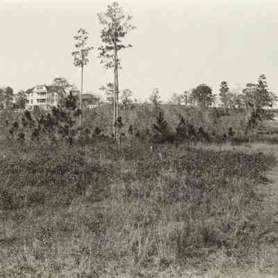 Hills at Farm House Lem Turner Road beyond Riverview