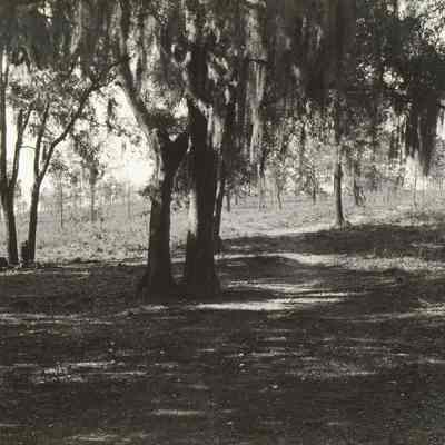 Hills at Farm House and School House Lem Turner Road beyond Riverview