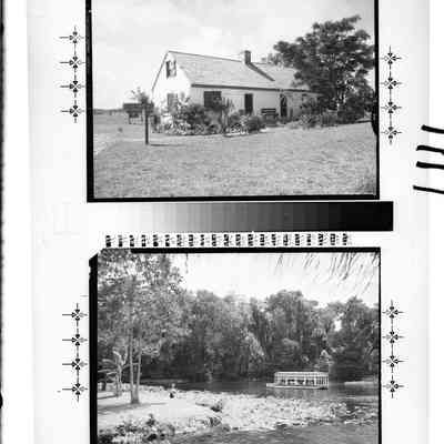 Negative, Glass-plate