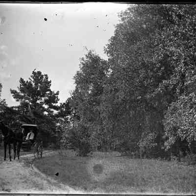Tallahassee/GP1.1994