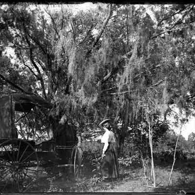 Tallahassee/GP1.1995