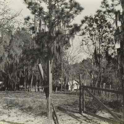 Hills at Farm House and School House Lem Turner Road Beyond Riverview