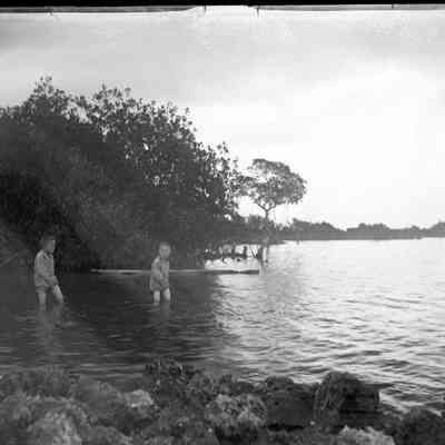 Leah Mary Cox Glass Plate Negatives