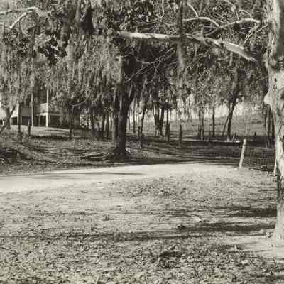 Hills at Farm House aand School House Lem Turner Road beyond Riverview