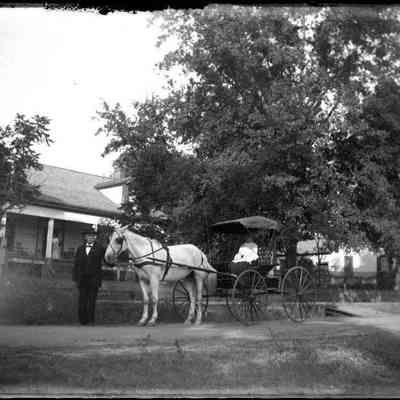 Horse and buggy/GP1.2020