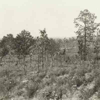 Hills at Farm House and School House Lem Turner Road beyond Riverview