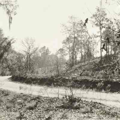 Hills at Farm House and School House Lem Turner Road beyond Riverview