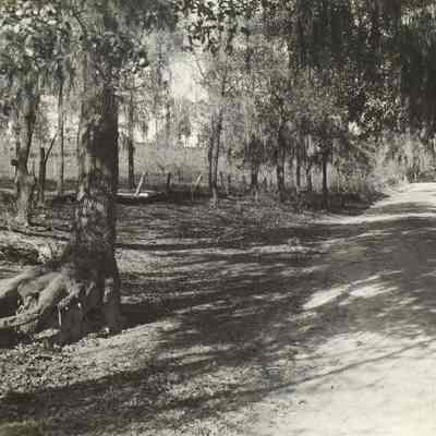 Road Scene Lem Turner Road beyond Riverview
