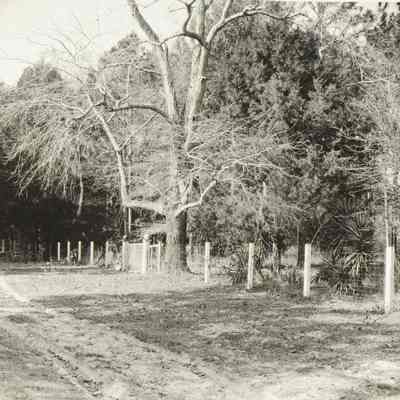Road Scene Side of Appleby Residence Orange Park
