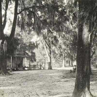 House and Road Scene Orange Park