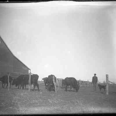 Wahoo, Nebraska farm/GP1.2146