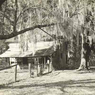 Barn and Road Scene Orange Park