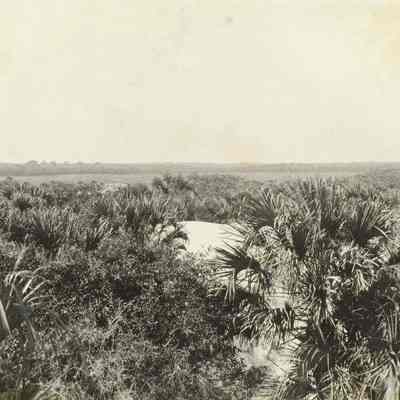 Inland Scene from Sand Dunes eleven miles South Beach