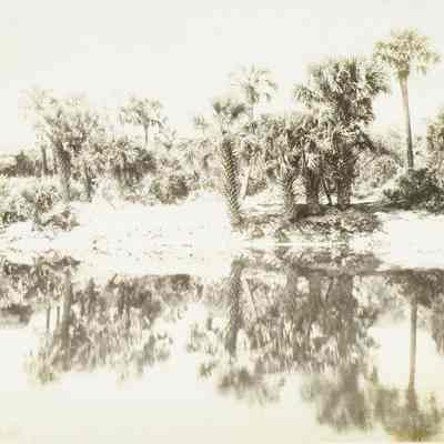 Inland Scene from Sand Dunes eleven miles South Beach