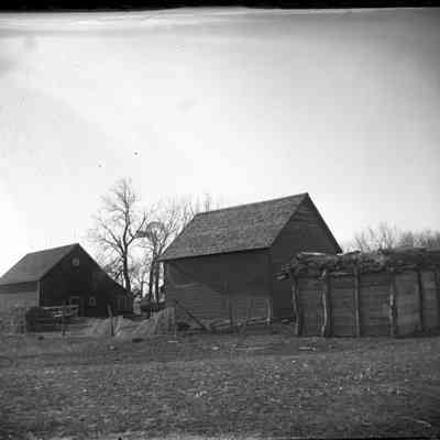 Leah Mary Cox Glass Plate Negatives