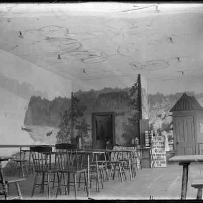 Leah Mary Cox Glass Plate Negatives