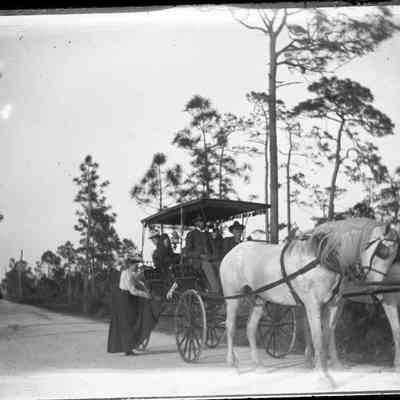Leah Mary cox Glass plate negatives