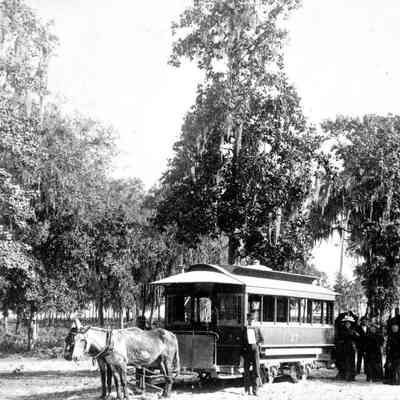 Mule Power: streetcar