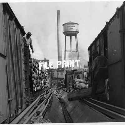 Miscellaneous Photos